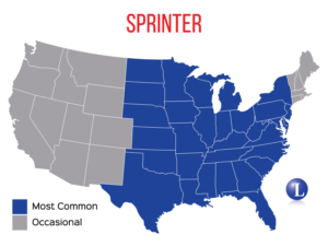 Sprinter Map Coverage
